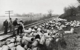Milk strike del Wisconsin - Foto Archivio immagini storiche del Wisconsin