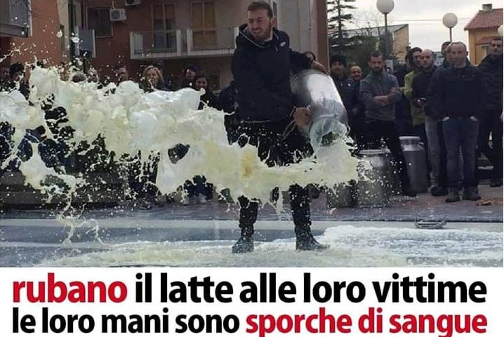 Post choc contro i pastori su un gruppo Facebook animalista Assassini rubano il latte alle loro vittime