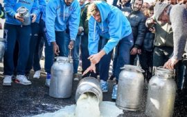 Protesta pastori dinamo sassari