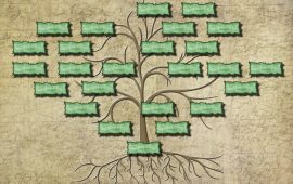 albero-genealogico