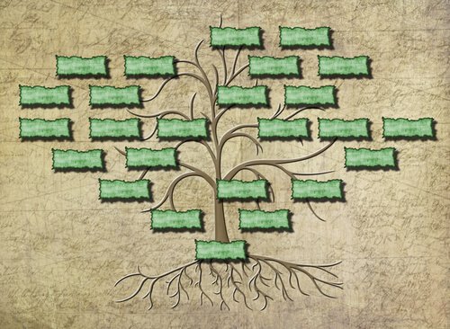 albero-genealogico