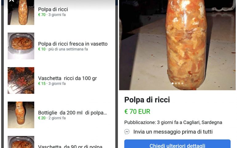 Polpa di ricci venduta online, ma non è illegale?