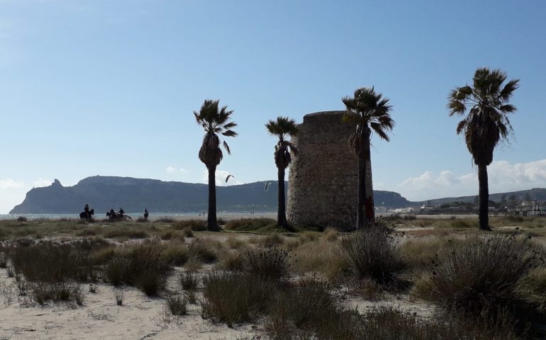 La foto del giorno: al Poetto lo scirocco solleva le onde e intiepidisce l’aria, l’ideale per una passeggiata a cavallo