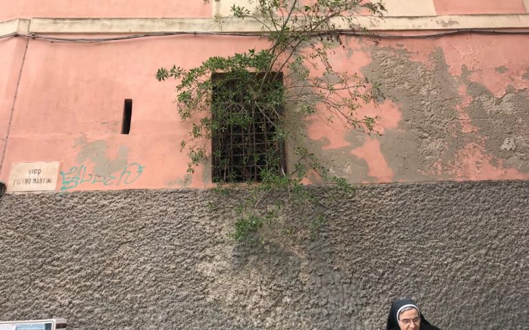 La natura è più forte di qualsiasi muro: un albero sbuca da una finestra in vico Pietro Martini in Castello