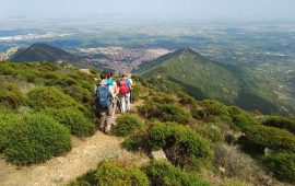 Guida ambientale escursionistica bando regione Sardegna