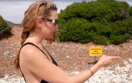 Lisa Camillo Balentes