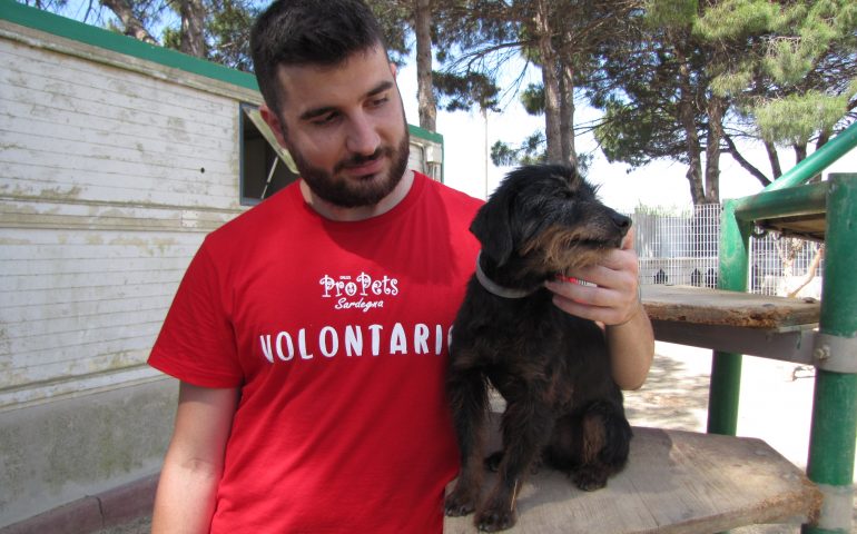 Diventare volontario di canile: al via il corso gratuito al Dog Hotel di Assemini