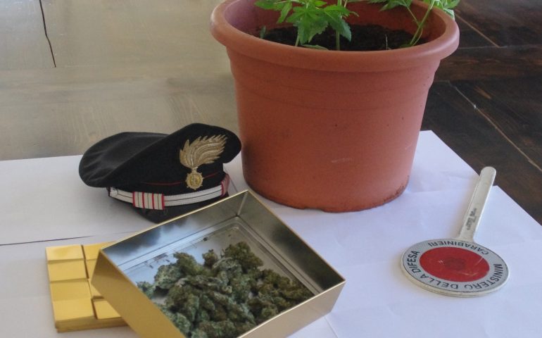 spaccio marijuana carabinieri (1)