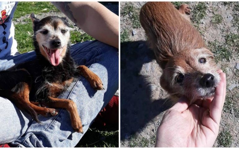 Nonna Fauna e nonna Flora: sorelline inseparabili in cerca di casa e coccole