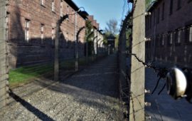 Il muro di divisione tra Auschwitz e gli uffici delle SS