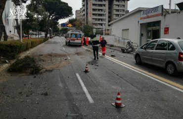 Incidente albero viale Diaz