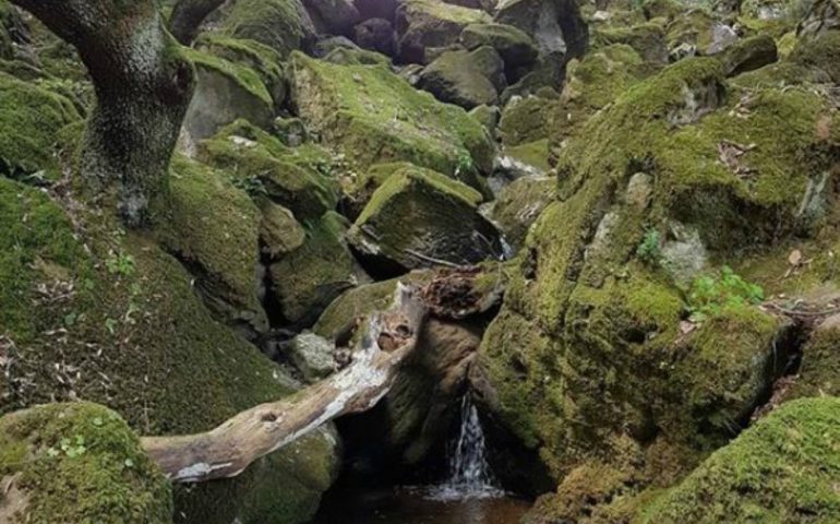 Monte Arci e Forestas, sottoscritto un accordo per valorizzare le risorse del parco