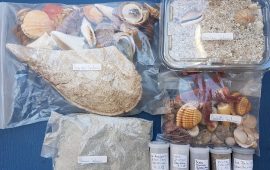 Sabbia, conchiglie e altri oggetti rubati nelle spiagge sarde - Foto di Sardegna Rubata e Depredata