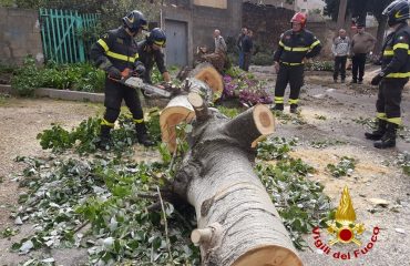 Vigili del fuoco interventi pasquetta (1)