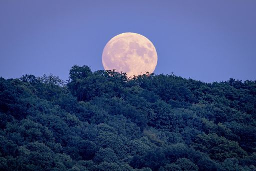 Stanotte nel cielo lo spettacolo del plenilunio di primavera