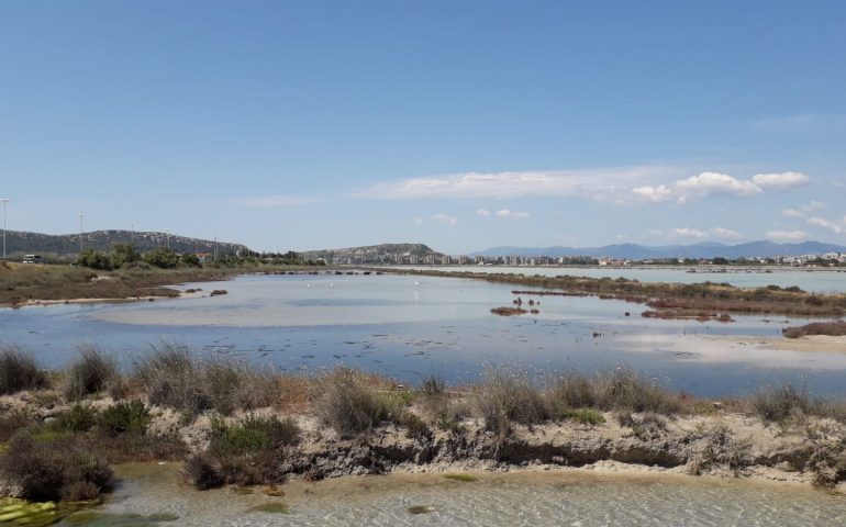 Cagliari, il Parco di Molentargius compie 20 anni tra progetti di valorizzazione e difesa della biodiversità