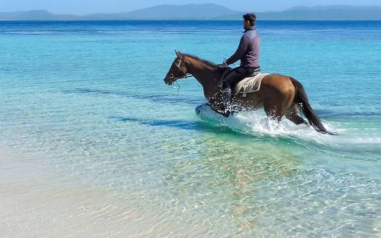 La foto. In sella nel mare cristallino di Maladroxia: la splendida foto di Michela Peddis