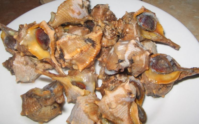La ricetta Vistanet di oggi: bocconi lessati, specialità della cucina di mare sarda