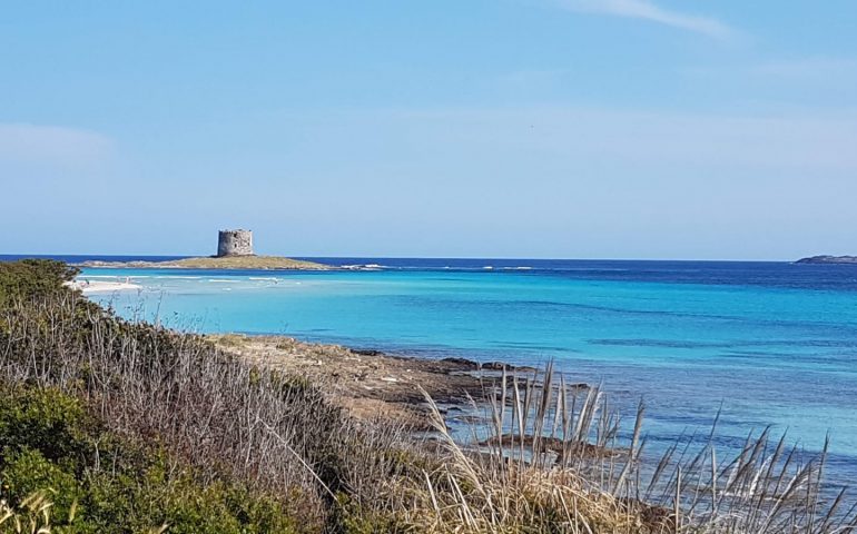 Il Cammino è a metà strada, 642 km a piedi, di 1284. E ogni giorno lo spettacolo cambia.