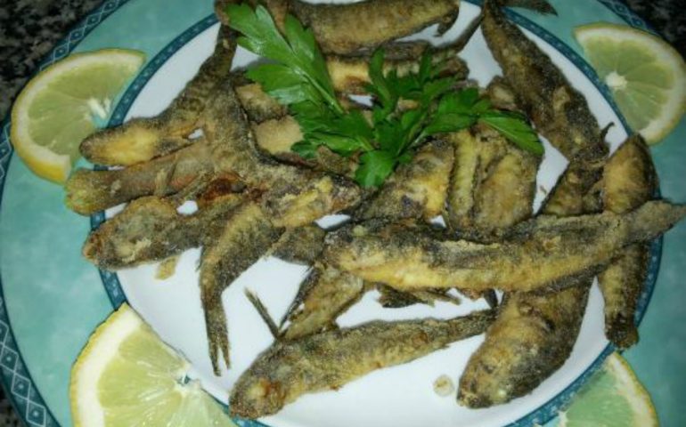 La ricetta Vistanet di oggi: ghiozzi fritti, una specialità della cucina di mare sarda