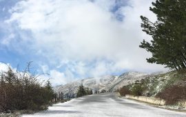 neve a bruncu spina maggio