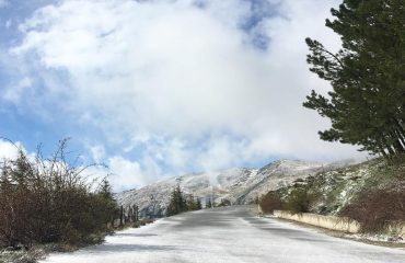 neve a bruncu spina maggio