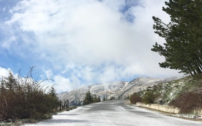 neve a bruncu spina maggio