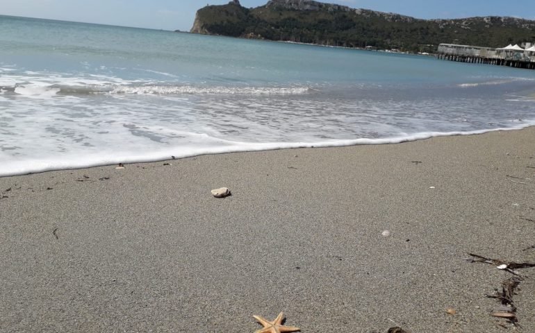 La foto: il vento spazza via le nuvole e le onde spiaggiano una stella marina