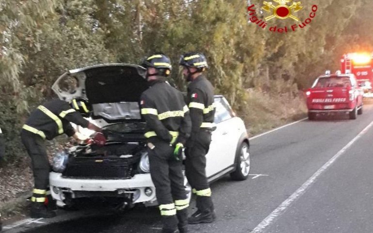 Si schianta contro un cinghiale lungo la Tramatza-Milis