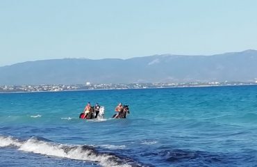 (Video) Bagno al Poetto insolito: tre cavalli galoppano fra le onde
