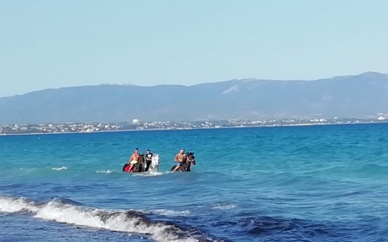 (Video) Bagno al Poetto insolito: tre cavalli galoppano fra le onde