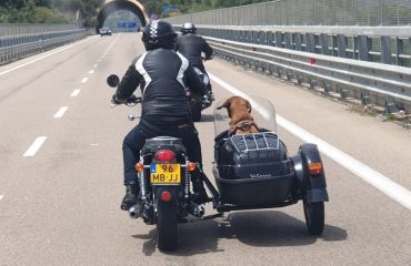 In vacanza con il cane Ogliastra