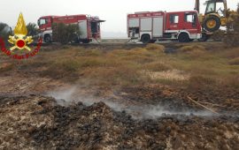 Combustione alghe a giorgino vigili del fuoco