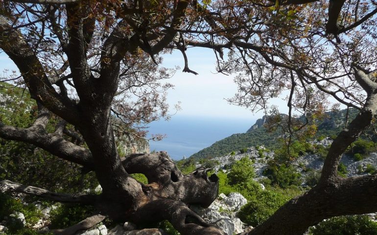 Tra lago e mare, Supramonte e Gennargentu: i comuni di Baunei e Gavoi tra gemellaggio e collaborazione