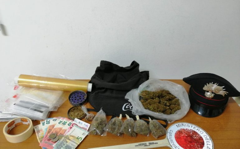 La cannabis sequestrata a Settimo dai carabinieri