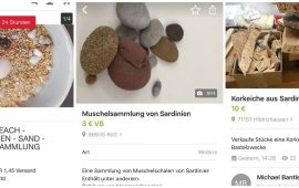 sassi e conchiglie in vendita su Ebay