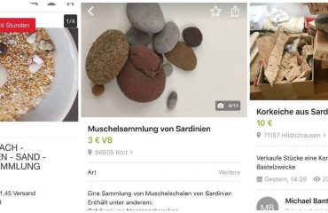 sassi e conchiglie in vendita su Ebay