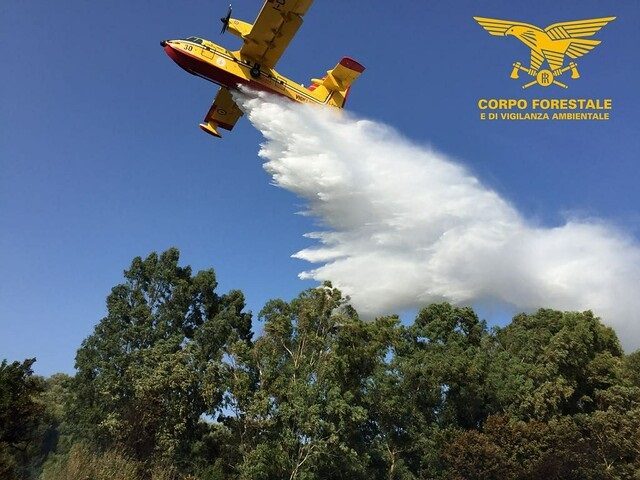 canadair