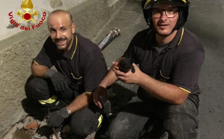 Iglesias, i Vigili del Fuoco salvano un gattino rimasto incastrato in un tubo di scolo