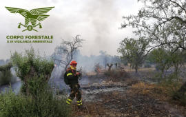 incendio