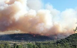 Incendio in Ogliastra