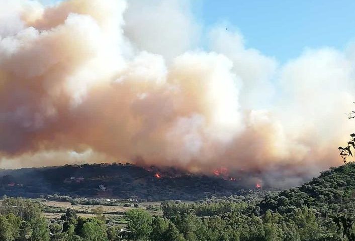 Incendio in Ogliastra