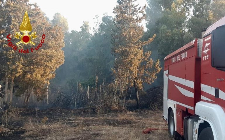 Fiamme a Donori: a fuoco sterpaglie, alberi e un canneto