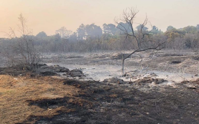 Incendio a Tortolì. Il presidente Solinas: “Troveremo i responsabili di tutto questo”