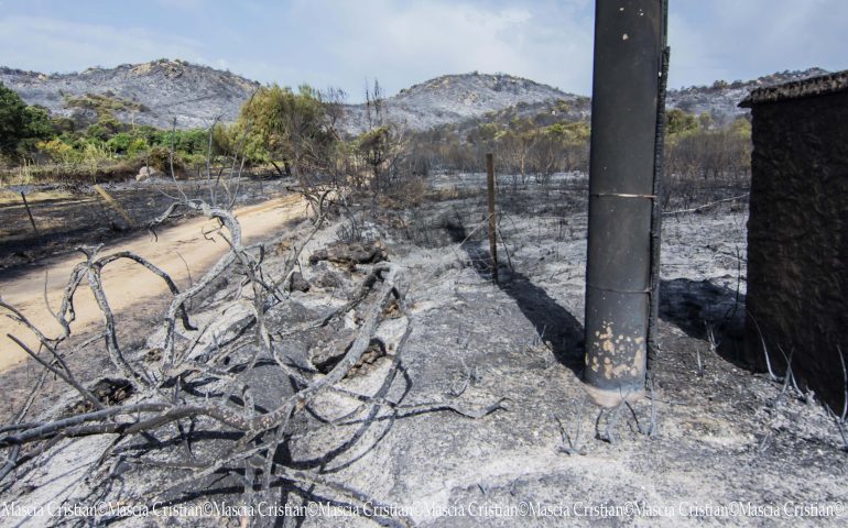 La Procura apre un’inchiesta sugli incendi che hanno sconvolto l’Ogliastra