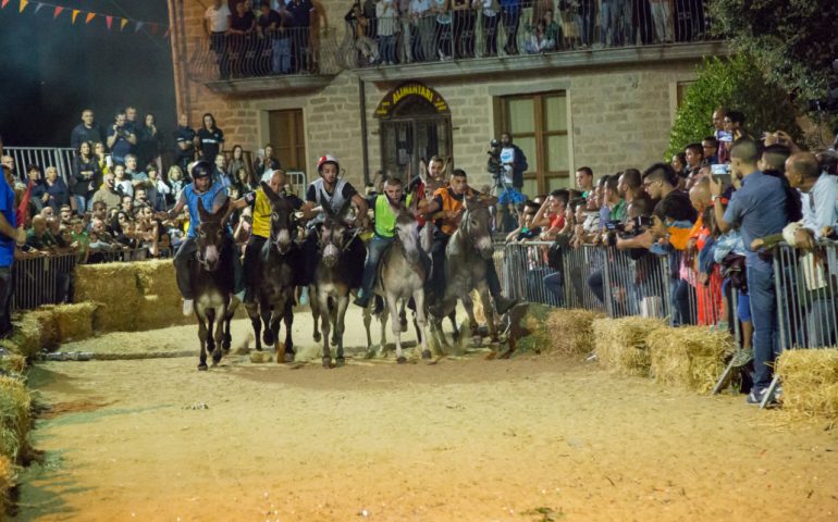 Ollolai : tutto pronto per il Palio degli Asinelli di sabato