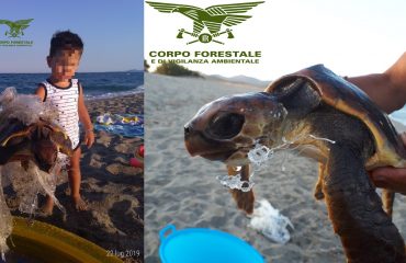 Bambino salva una tartaruga a Villaputzu