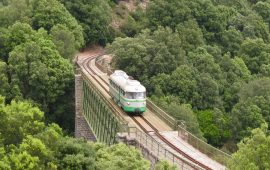 trenino verde