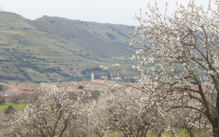 Baressa: anziano agricoltore muore schiacciato dal suo trattore, inutili i soccorsi