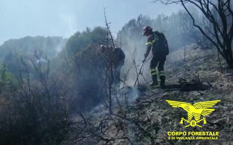 Bruciano le campagne di Perdasdefogu: mezzi antincendio in azione